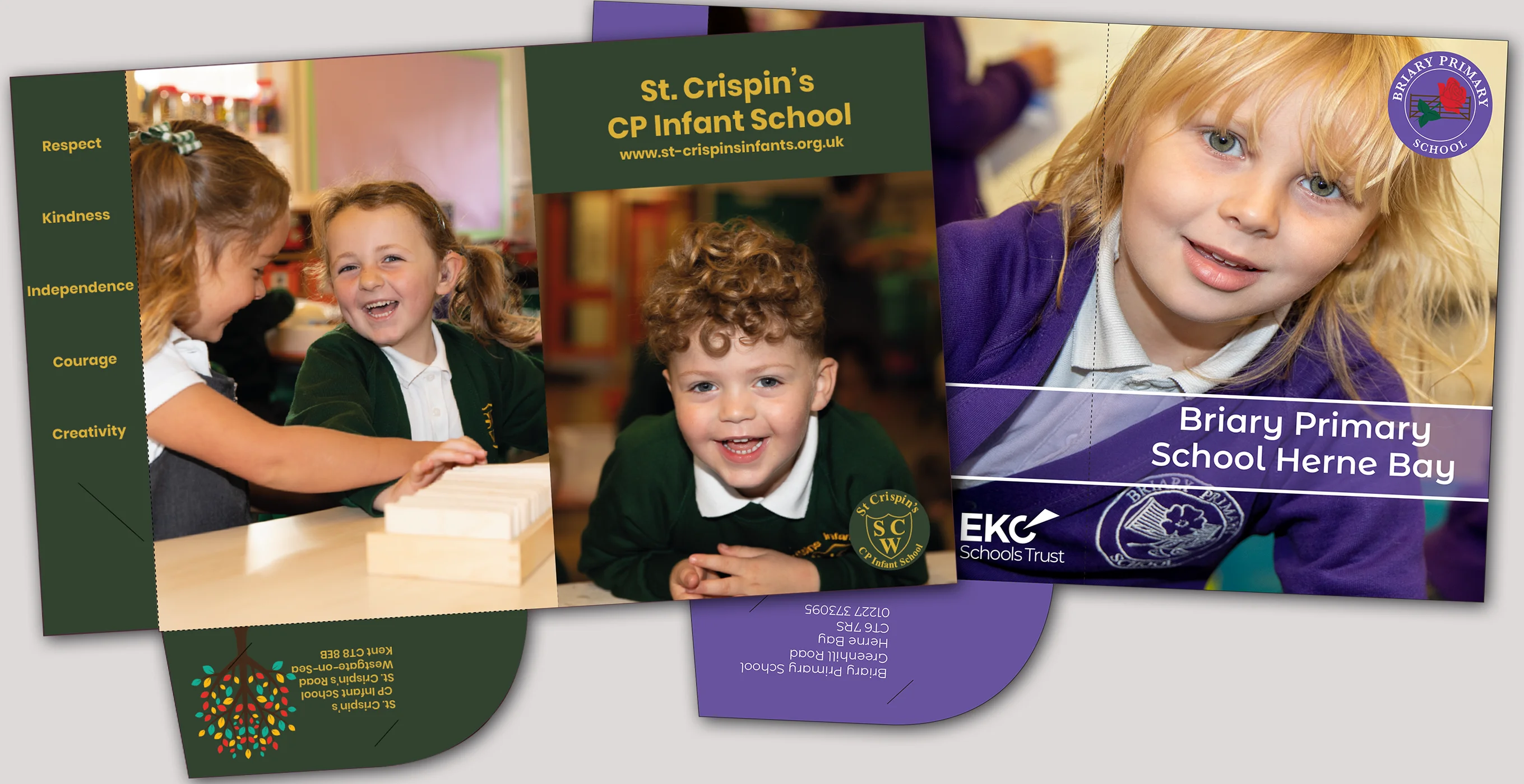 Prospectus Design